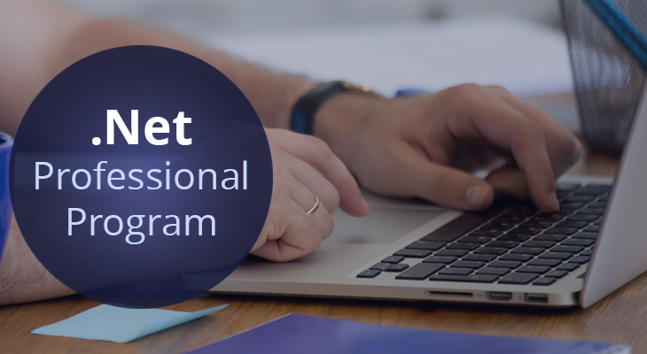 dot net professional program