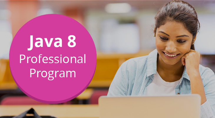 Java 8 Professional Program