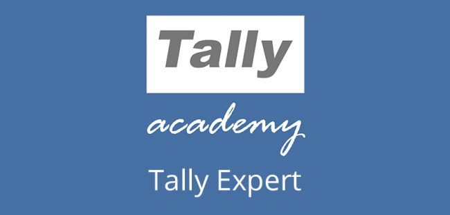 tally expert
